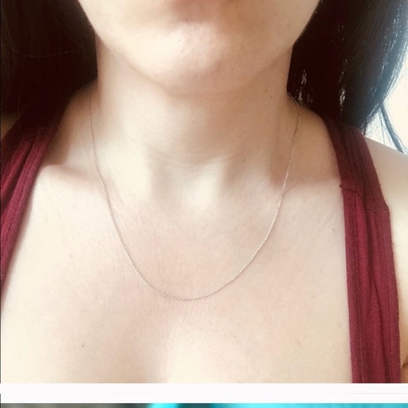 Authentic New Tiffany & Co. Silver Necklace in Box - Picture 3 of 4